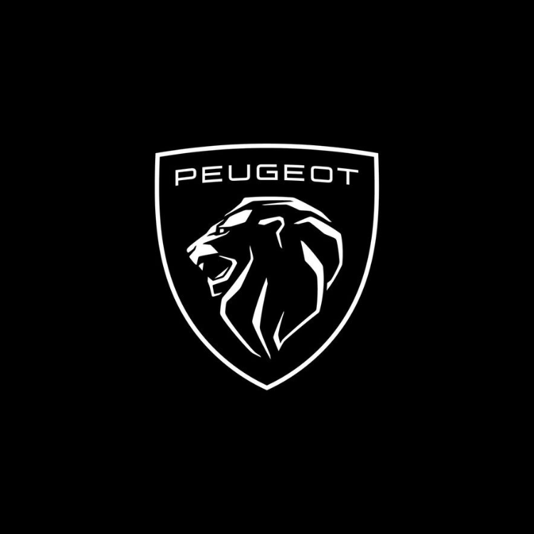 Peugeot Auto Parts and Body Kits